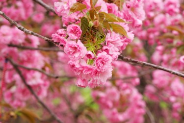 嘉兴南湖区3线下个人借款平台一站式服务，轻松解决资金难题