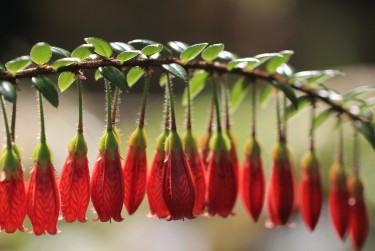 嘉兴南湖区3零用贷短借：轻松解决临时资金需求